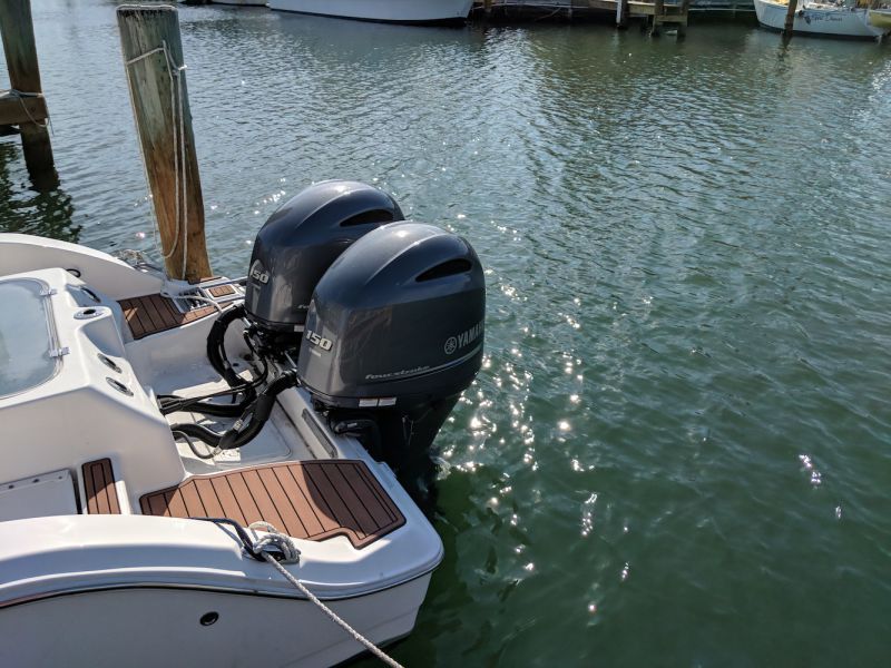 Bass Hunter - Image 6